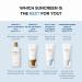 SKIN1004 Hyalu-CICA Water-Fit Sun Serum 1.69 fl. oz (50ml) - Hydrating Formula for Sensitive Skin [No White Cast] - Buy Online on SooperMarket.com