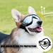 Tsathoggua Dog Goggles Dog Sunglasses with Elastic Strap UV Pet Goggles Protect Dog's Eyes for UV Wind Dust and Fog Medium/Large Breed - Buy Online on SooperMarket.com