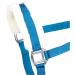 RL24 Halter with Plush Padding - BASICLINE in 6 Colors for Shetty Pony Thoroughbred Warmblood | Turquoise Shetty - Buy Online on SooperMarket.com