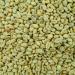 Organic Ethiopian Yirgacheffe Green Coffee Beans 2lbs - Grade 1 Specialty Arabica - Fair Trade - Women Produced - Single Origin - Buy Online on SooperMarket.com