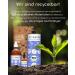 Buy Wolfsbach Organic Linseed Oil for Dogs & Cats - 500ml Cold Pressed Omega 3 & 6 - 100% Organic from Germany - BARF & Feed Oil De- ko-060 - Buy Online on SooperMarket.com