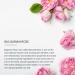Buy Lotus Professional Dermo Spa Bulgarian Rose Night Creme 50g - Radiance & Renewal for Glowing Skin | International Shipping Available - Buy Online on SooperMarket.com