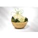 CROC'IN - Pesto Tartlet Shells - Edible Savoury Appetizer Basil Pesto Mini Pastry Cases - Artisanal Confection - 24 Pieces Pesto 24 - Buy Online on SooperMarket.com