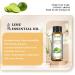 EUQEE Lime Essential Oil 10ml Pure Natural Lime Oils Aromatherapy Essential Oils for Diffusers for Home Relax Humidifiers Lime 10.00 ml (Pack of 1) - Buy Online on SooperMarket.com
