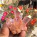 Natural Crystal Rough Beautiful Rose Flame Aura Quartz Crystal Cluster Specimen 60-70G - Buy Online on SooperMarket.com