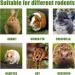 TOKAYIFE Rabbit Chew Toys 210g Rabbit Treats Natural Timothy Hay Sticks Boredom Breakers for Rabbits Chinchillas Guinea Pigs Hamster Hedgehogs (20 pcs) 20 Count(1 pack) - Buy Online on SooperMarket.com