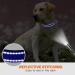 Buy Taglory Soft Padded Neoprene Dog Collar for Medium Dogs - Adjustable Reflective Dark Blue (M) | Ideal for Training & Comfort - International Shipping Available - Buy Online on SooperMarket.com