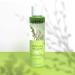 Freeman Beauty English Willow Toner - Pore Minimizer & Deep Cleansing (6.1 fl oz) - Buy Online on SooperMarket.com