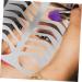 Gogogmee Eyebrow Template Eyebrow Stencil Eyebrow Shaping Tool Eyebrow Drawing Mold Eyebrow Draw Board Eyebrow Practice Stencil Brow Practice Tool Eyebrow Shape Mold Metal Eyebrow Mold - Buy Online on SooperMarket.com