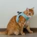 Belffy Cat Dishes & Automatic Leash Set for Cats Kittens Puppies | Outbreak-proof Jacket for Small Medium & Large Pets (Medium Blue) - International Shipping - Buy Online on SooperMarket.com