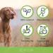 Nutrani Dog Shampoo with Argan Oil & Aloe Vera - Nourishing pH-Neutral Formula for Sensitive Skin & Shiny Fur - 500ml - Buy Online on SooperMarket.com