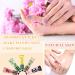 Buy 5 Pack Natural Plant Fragrance Hand Cream | Moisturizing Travel Size Lotion Set for Men & Women - Best Hand Care Gift - Buy Online on SooperMarket.com