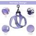Bella & Pal Small Dog Harness with Leash - Air Mesh Reflective Breathable for Puppies & Cats - Lavender (S S 35-40cm) - Buy Online on SooperMarket.com