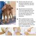 Dog Professional Stripping Knife for Border Terrier Grooming - Ergonomic Wooden Handle (Right) - Buy Online on SooperMarket.com