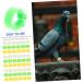 BCOATH Colored Tabs 300pcs Bands Small Green Pigeons Bird Outdoor Ring Finch Classification Doves Pigeon Dove Clip Ducks Colorful White Pet Birds Marking for Band Parrots Bright Professional Chicks 1.3X1.3X0.5CM As Shown - Buy Online on SooperMarket.com