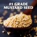 Gulden's Spicy Brown Mustard 12 Oz - Tangy and Bold Mustard Flavor - Buy Online on SooperMarket.com