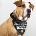 Gender Reveal Pet Scarf Set for Dog Lovers - Pack of 2 - Buy Online on SooperMarket.com