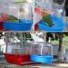 2 Pcs Parrot Bath Boxes - Small Bird Bath for Cage - Pet Birds Bathtub - Blue and Pink Canary Accessories - Buy Online on SooperMarket.com