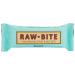 Raw Bite Peanut Raw Food Bars - Pack of 12 (12 x 50g) | Healthy Snack for Energy & Nutrition - Buy Online on SooperMarket.com