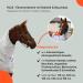 RL24 Eczema Ceiling for Horses - Silver Gray | Insect Protection Fine-Meshed Tissue Double Front Closure & Leg Cords | 115cm Outdoor Ceiling - Buy Online on SooperMarket.com