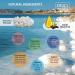 Dead Sea Collection Salt Body Scrub 23.28 OZ with Himalayan Salt & Organic Oils - Buy Online on SooperMarket.com