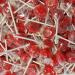 Personalized Bag of 10 Traffic Lights Mega Lollies - Individually Wrapped - Buy Online on SooperMarket.com