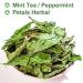100% Organic Peppermint Tea - Health Benefits & Traditional Flavor - 30g | Global Shipping - Buy Online on SooperMarket.com