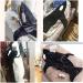 XXL Whale Blanket & Sleeping Bag | Super Soft Flannel Cuddly Blanket for Adults & Teens | Perfect Gift for Whale Lovers - Buy Online on SooperMarket.com