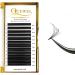 QUEWEL Easy Fan 2D-20D Volume Lashes 0.12D Curl Mix 8-15mm - Self Fanning Russian Lash Extensions | Easy Fan Volume Lashes for Automatic Blooming - Buy Online on SooperMarket.com