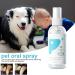 PUCHEN Teeth Cleaning Spray for Pet Pet Teeth Cleaning Spray 60ml - Cleaning Dog Teeth Spray Odors and Freshen Breath for Home Outdoor Travel Use - Buy Online on SooperMarket.com