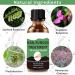 Nail Fungus Treatment For Toenail - Extra Strong Fungal Nail Treatment - Anti fungus Nail Repair and Strengthen Fix & Renew Damaged Broken Nails (2PC) - Buy Online on SooperMarket.com