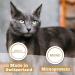 Catz Finefood MEATZ Duck Cat Snack - Grain-Free Sugar-Free With Aloe Vera - 45g Crispy Grilled Stripes for Cats - Buy Online on SooperMarket.com