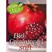 KOPP VITAL BIO Pomegranate Juice - 4 x 1L Organic Premium Direct Juice - Naturally Sweetened Superfood - Buy Online on SooperMarket.com