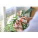 Green People Scent Free Facial Sun Cream SPF30 50ml | Natural Organic Face Sunscreen | Eczema Friendly | Vegan & Cruelty-Free - Buy Online on SooperMarket.com