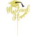 Arthsdite 1Pc Mastered It Cake Topper College Grad Class of 2024 Congratulations MBA Graduation Party Decorations Supplies - Gold Glitter Gold Mastered It Cake Topper - Buy Online on SooperMarket.com
