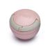 melii Pacifier Pod Grey & Pink Pacifier Storage Container with Carabiner Clip