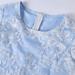 Womens Plus Size Floral Lace Sheath Dress - Knee Length Work Casual Party Cocktail (XXXL Blue-1) - Buy Online on SooperMarket.com