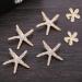 4 Starfish Hair Clips 2 Flower Hair Clips Wedding Accessories Diamond Hair Clips Elegant Non-Slip Hair Accessories for Girls Flower Girl - Buy Online on SooperMarket.com