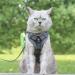 QKTYB Cat Dishes & Leash Set - Retractable Dog Leash & Cat Dishes for Kittens & Dogs (M Gray) - Perfect for Travel & Outdoor Adventures - Buy Online on SooperMarket.com