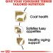 Royal Canin Yorkshire Terrier Adult Dry Dog Food 10lb - Breed Health Nutrition | No Artificial Color - Buy Online on SooperMarket.com