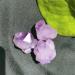 Natural Amethyst Raw Quartz Small ClusterReiki Stone Crystal Point Specimen Home Decor Raw Crystals NaturalReiki Decoration (Color : 1pc Weight 3-8g Size : 200g) 200g 1pc Weight 3-8g
