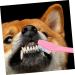 CORHAD 12pcs Double Head Dog Toothbrush Dog Finger Toothbrush Dog Toothbrush Toothpaste Dog Tooth Care Pp - Buy Online on SooperMarket.com