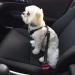 LauCentral Dog Seat Belts for Car Headrest Restraint Puppy Safety Adjustable Dog Car Seatbelts and Strong Leash Leads Accessories for Dogs Cats Pets Black - Buy Online on SooperMarket.com