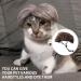 1 Piece Pet Wig Dog and Cat Cosplay Wig Christmas Dog Wig Large and Small Dog Wig Pet Wig with Bangs Suitable for Artistic Photos and Holiday Parties (Brown) - Buy Online on SooperMarket.com