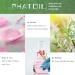 PHATOIL Eucalyptus Essential Oil 30ML - Premium Grade Pure Oil for Diffusers, Aromatherapy, and Candle Making - Buy Online on SooperMarket.com
