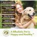 Wholistic Pet Organics Dog Probiotics & Digestive Enzymes - Immune System & Gut Health Support - Plant Based Ingredients - 8 oz - Buy Online on SooperMarket.com