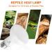 REPTI HOME Reptile Heat Lamp Bulbs 2 Pack 100W Heat Lamp for Reptiles E27 Basking Light Bulb for Vivarium Turtle Lizard Tortoise Bearded Dragon Puppy Chick - Buy Online on SooperMarket.com