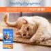 IAMS PROACTIVE HEALTH HEALTHY ENJOYMENT Adult Dry Cat Food Chicken & Salmon Recipe 1.36kg Bag 1.36 kg (Pack of 1) - Buy Online on SooperMarket.com