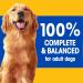 PEDIGREE High Protein Adult Wet Dog Food - Beef & Lamb Flavour in Gravy 375g 12 cans - Buy Online on SooperMarket.com
