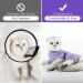 HEYWEAN Cat Recovery Suit - M Purple Stripes | Post-Surgery Bodysuit for Cats | Cone Collar Alternative & Surgical Shirt - Buy Online on SooperMarket.com